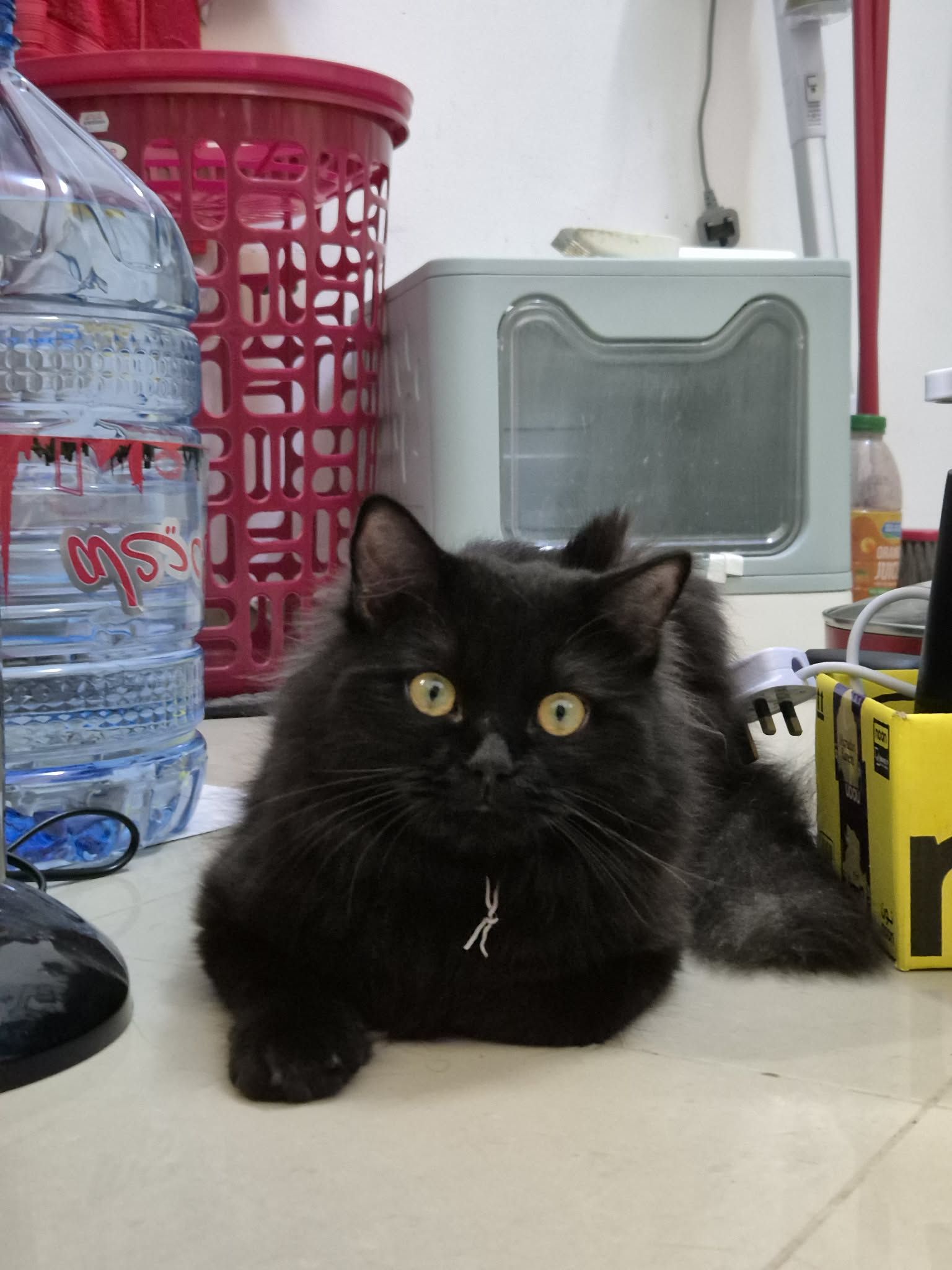 Bianca Andrea Ragaza