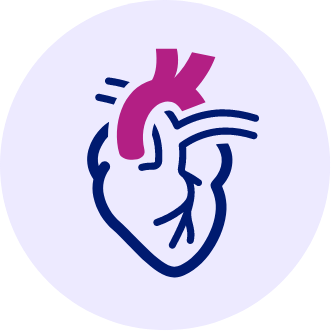 Cardiology - Life Medical Centre