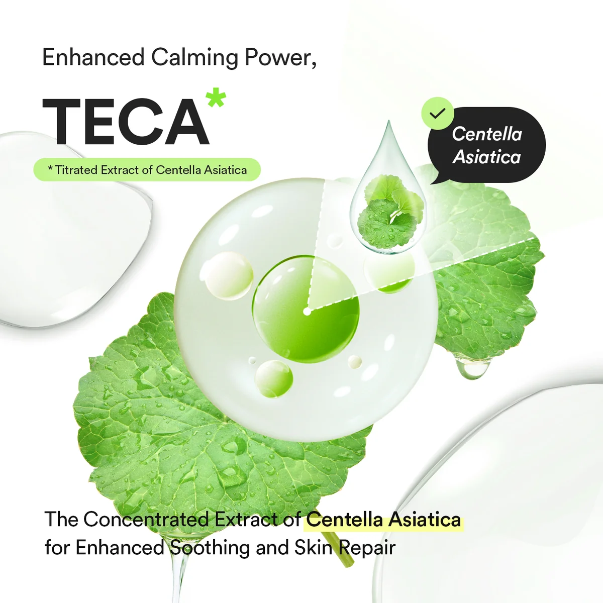 Abib Heartleaf TECA Capsule Calming Drop Serum 50ML