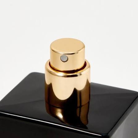 Angel Schlesser Absolu Deep Leather EDP Spray 100ml