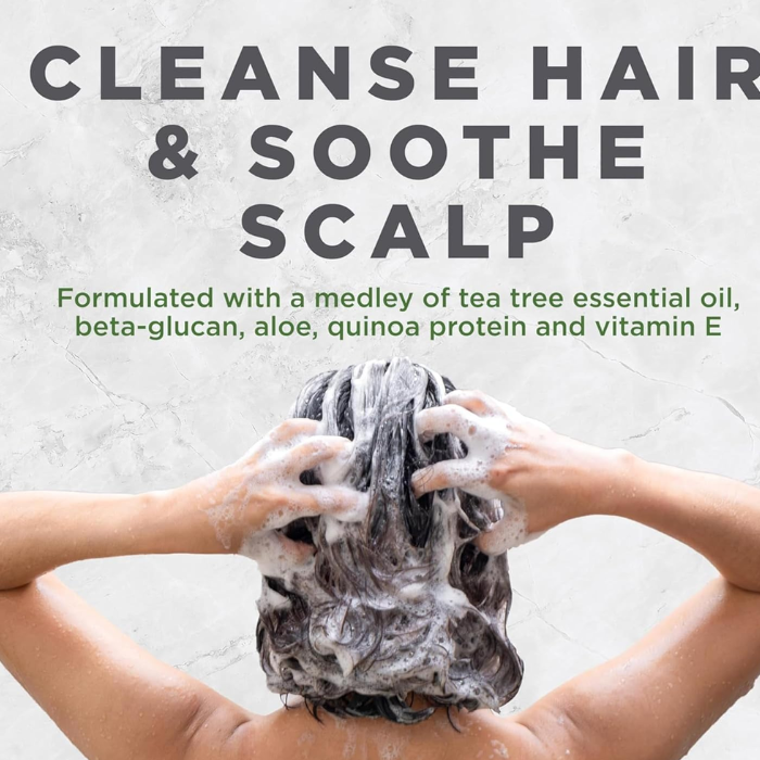 Avalon Tea Tree Scalp Treatment Shampoo