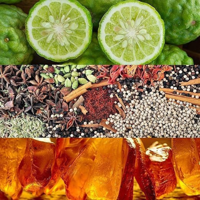عطر كالفن كلاين اوبسيشن نايت او دي تواليت 100 مل