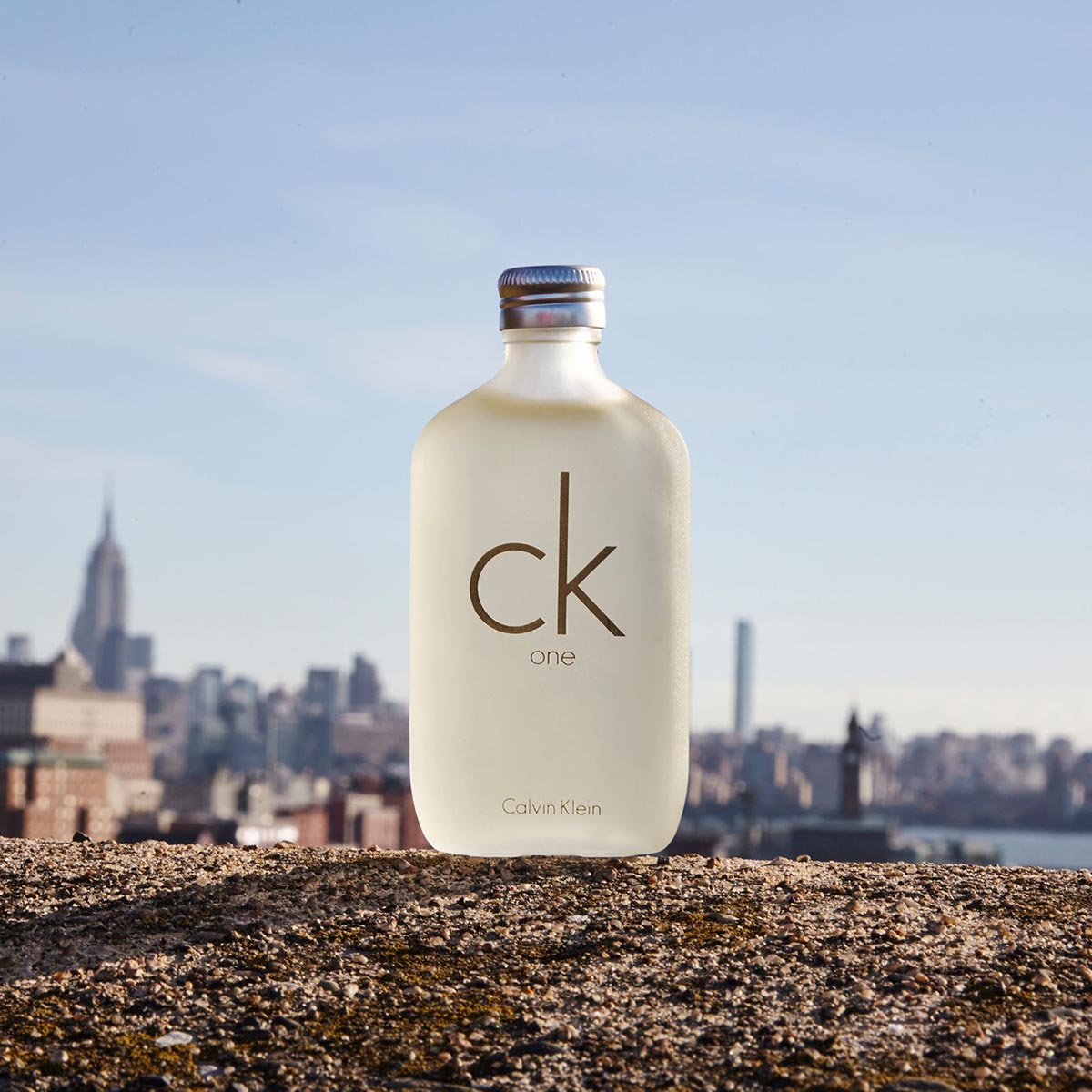 Calvin Klein One EDT Spray 100ml