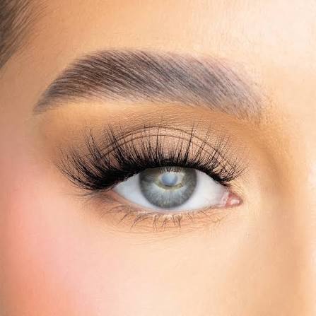 Cala Eyelashes 503