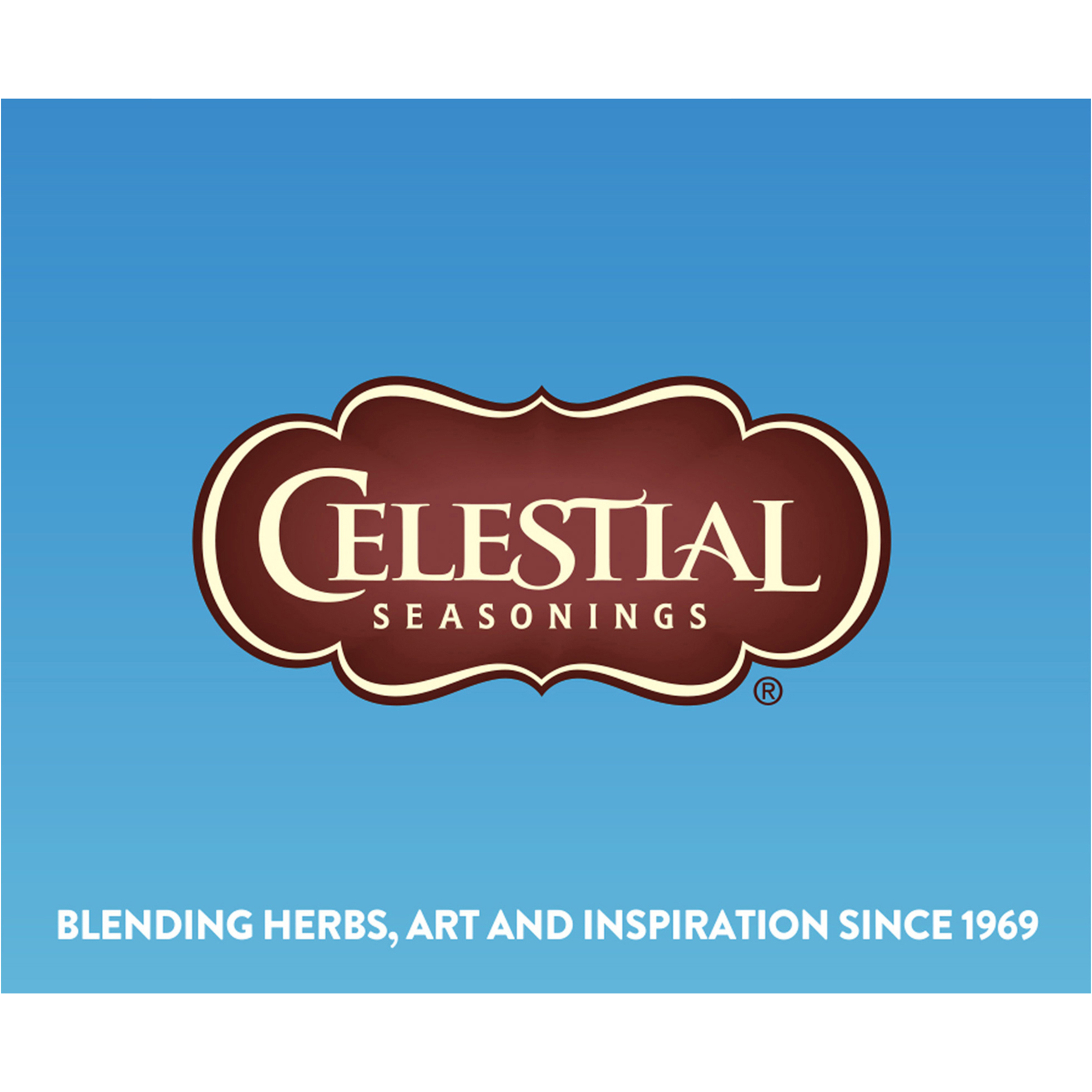 Celestial Seasonings Cold Brew Tea Blueberry 18s