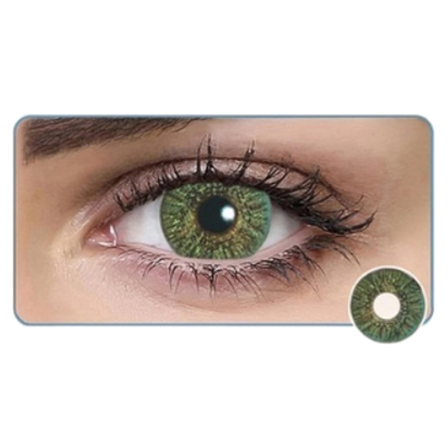 Contact Lenses Freshlook One Day Plano Green 10pcs