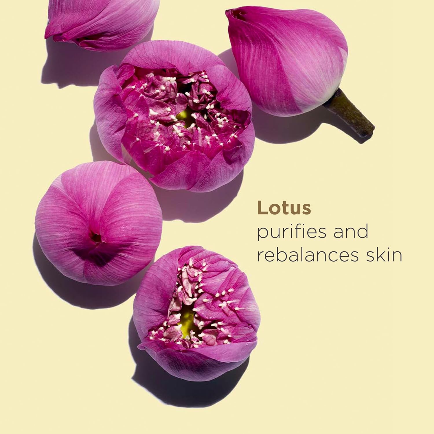 Clarins Lotus Treatment Face Oil 30ml