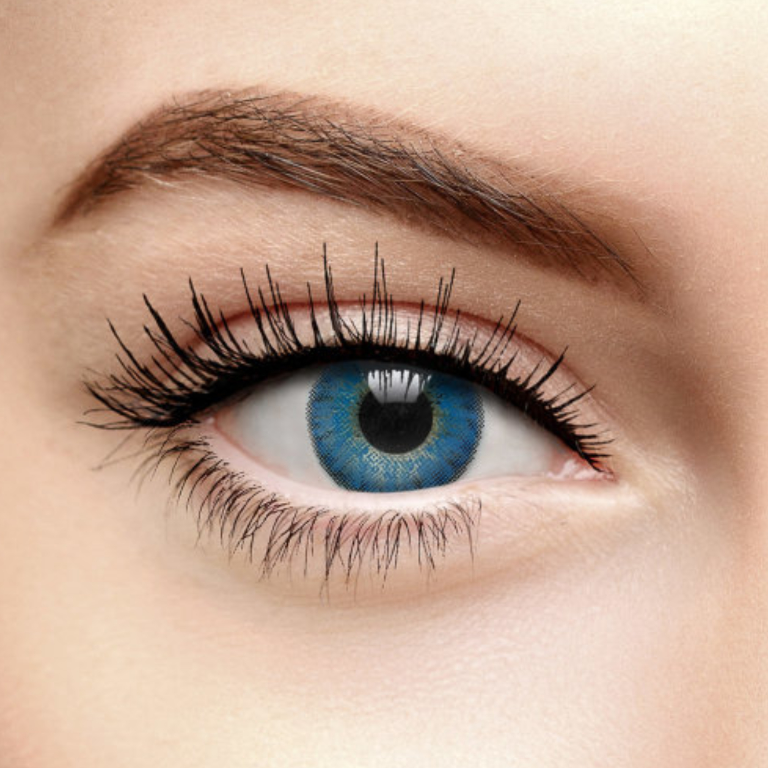 Contact Lenses Freshlook One Day Plano Blue