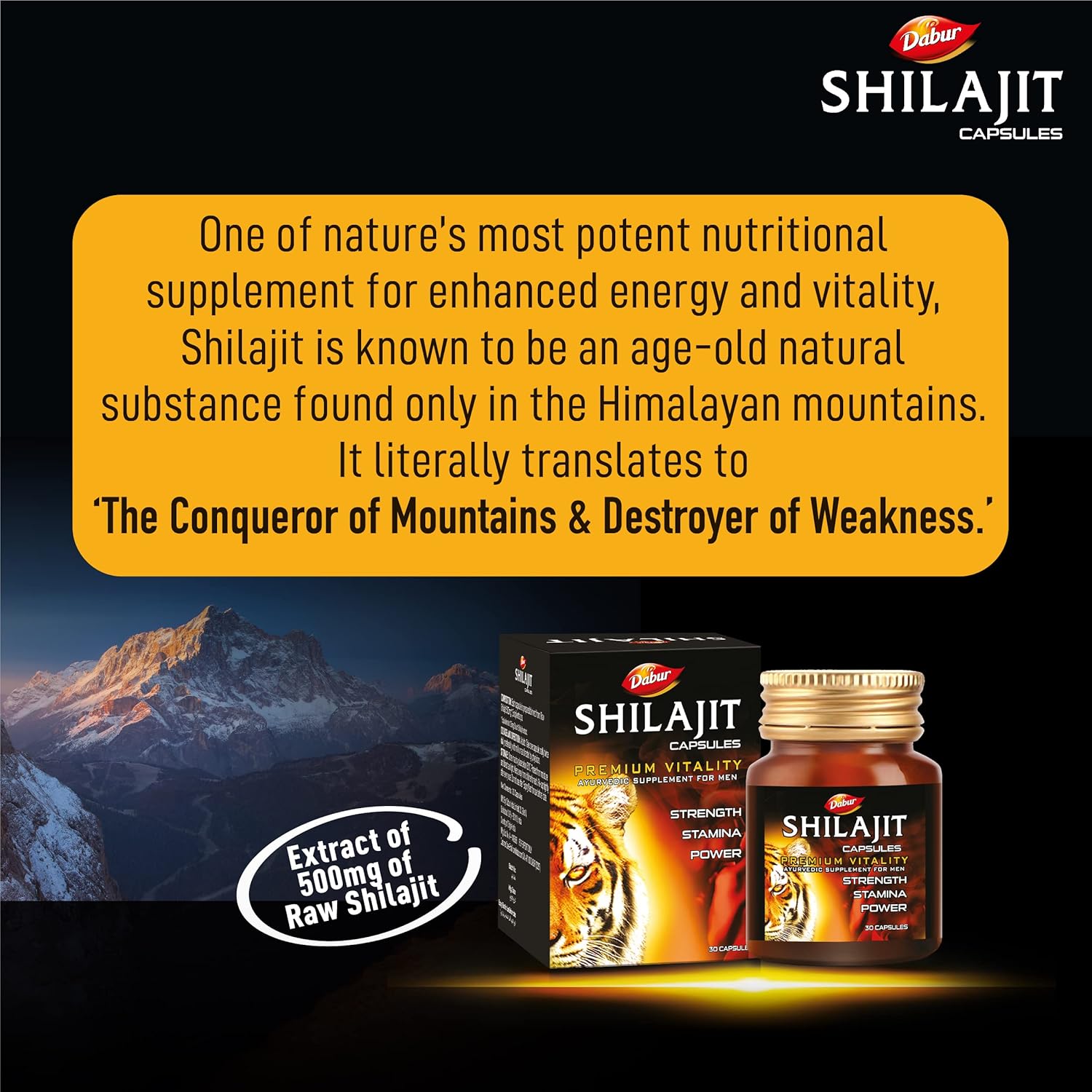 Dabur Shilajit Cap 30s Bottle