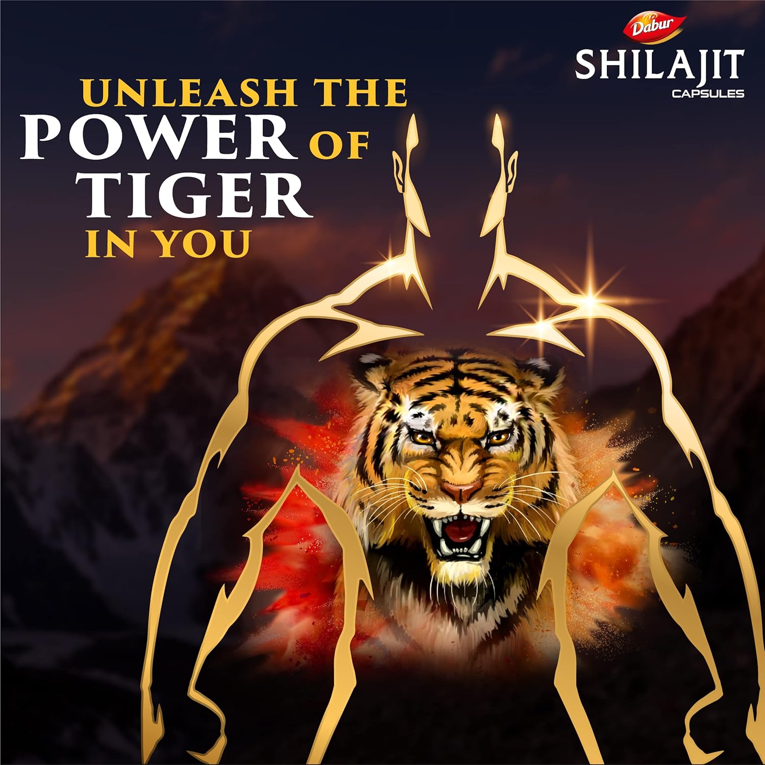 Dabur Shilajit Cap 30s Bottle