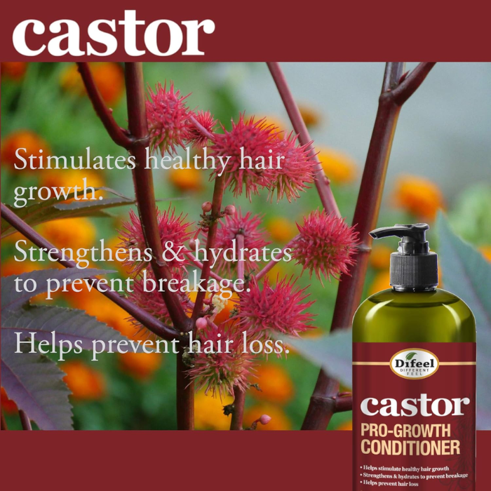 Difeel Castor Pro-Growth Conditioner 354.9ml