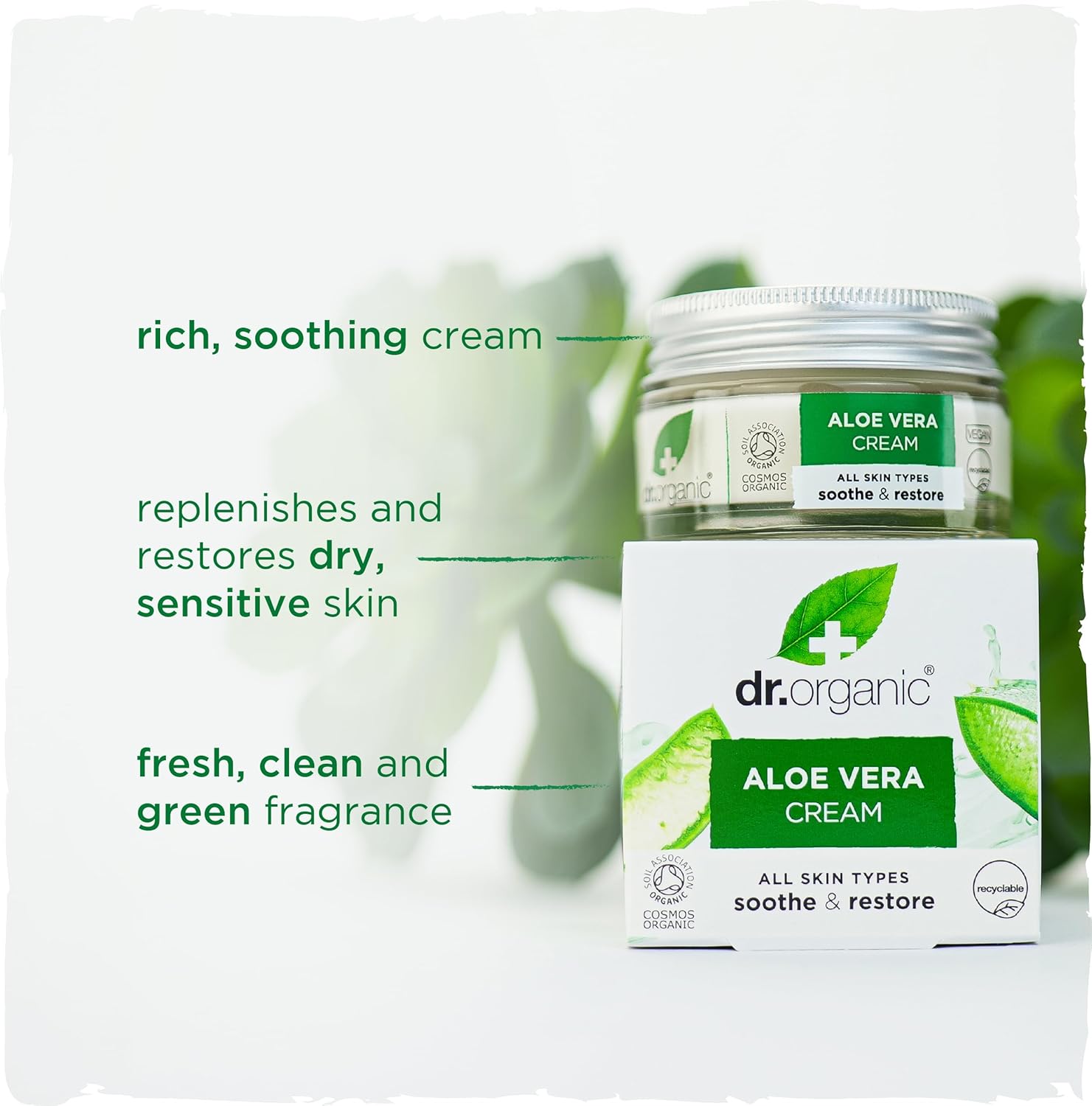 Buy Dr. Organic Aloe Vera Cream 50ml online at best price in the UAE | Life  Pharmacy