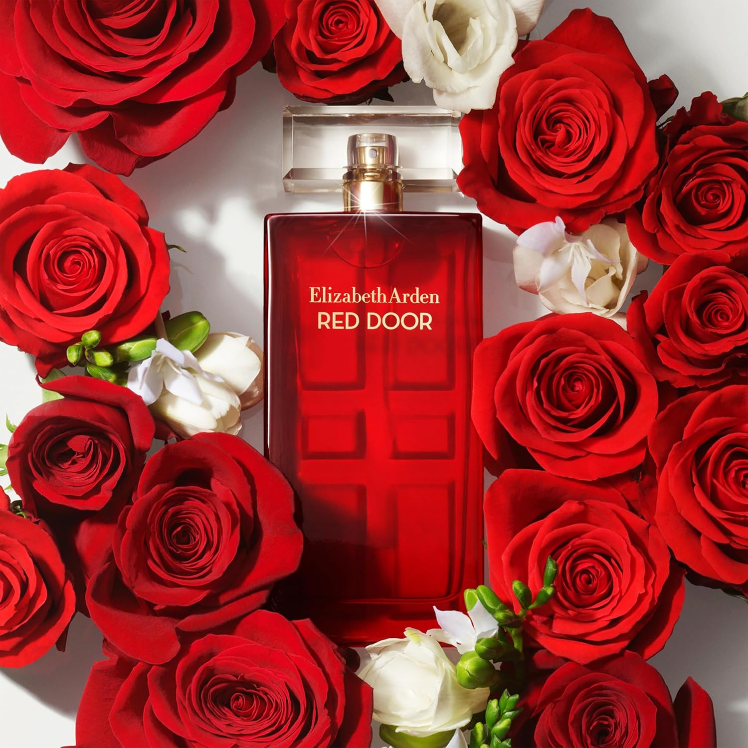 Elizabeth Arden Red Door EDT Natural Spray 100ml