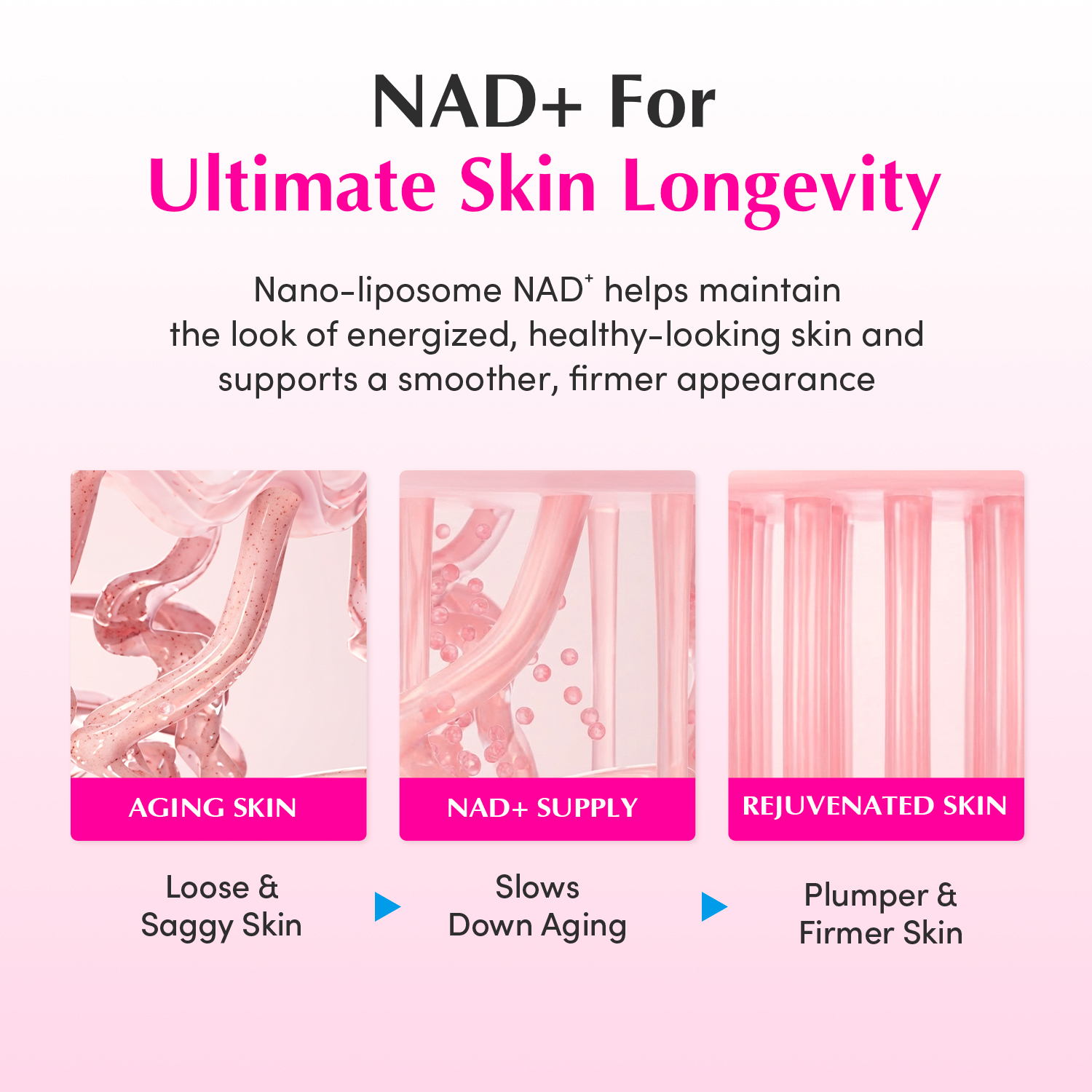 Eqqualberry NAD+ Peptide Boosting Cream 50ML