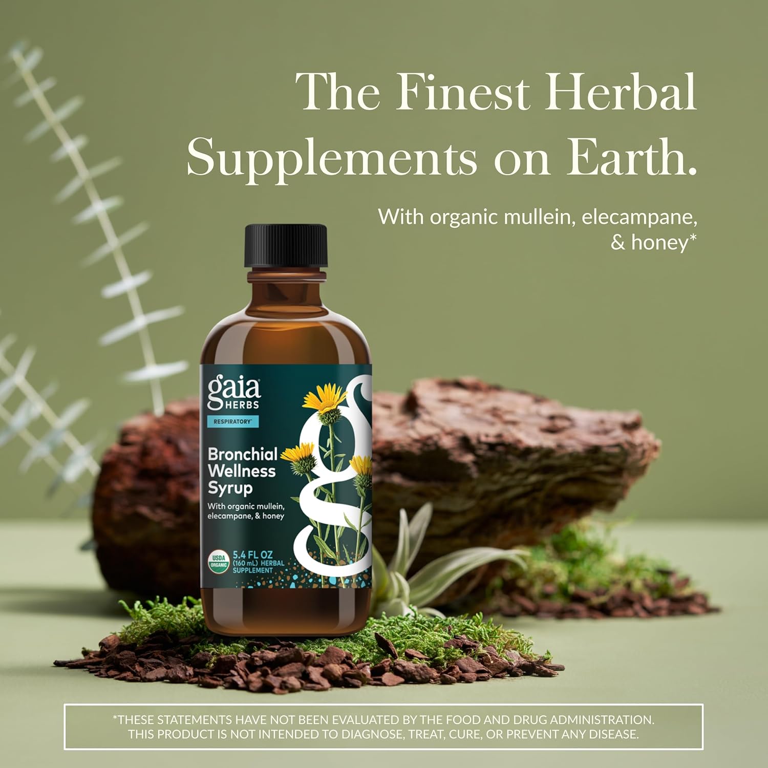 Gaia Herbs Bronchial Wellness Herbal Syrup 5.4 Oz