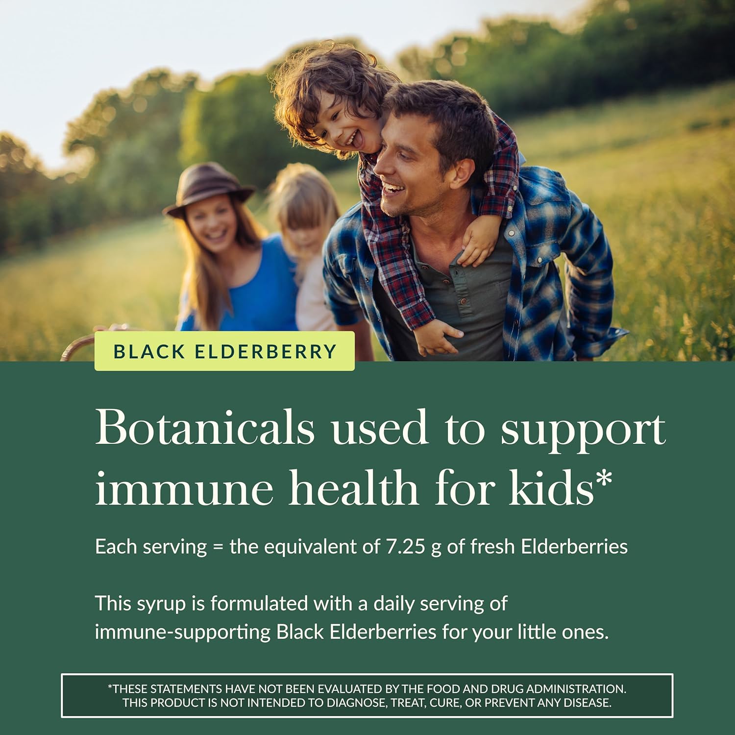 Gaia Herbs Kids Black Elderberry Syrup 3 Oz