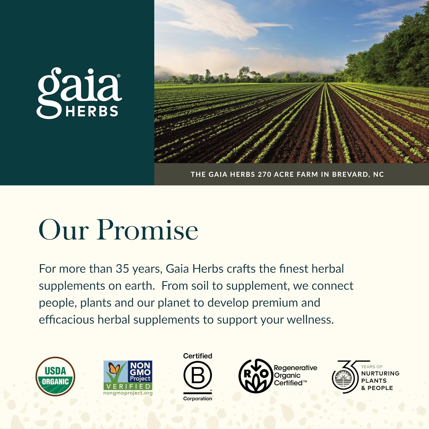 Gaia Herbs Kids Bronchial Wellness 3 Oz