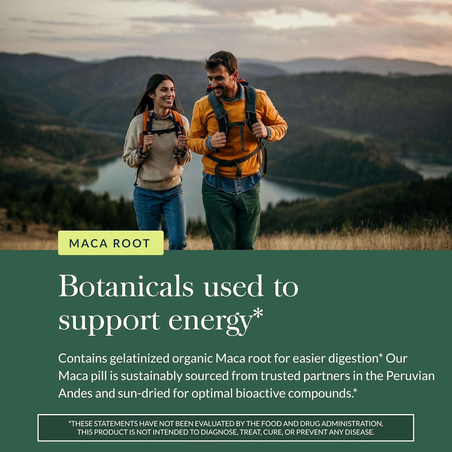 Gaia Herbs Maca Root 60 Capsules