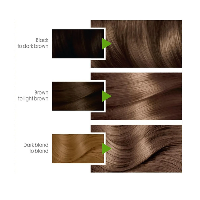 Garnier Color Naturals 6 Dark Blond
