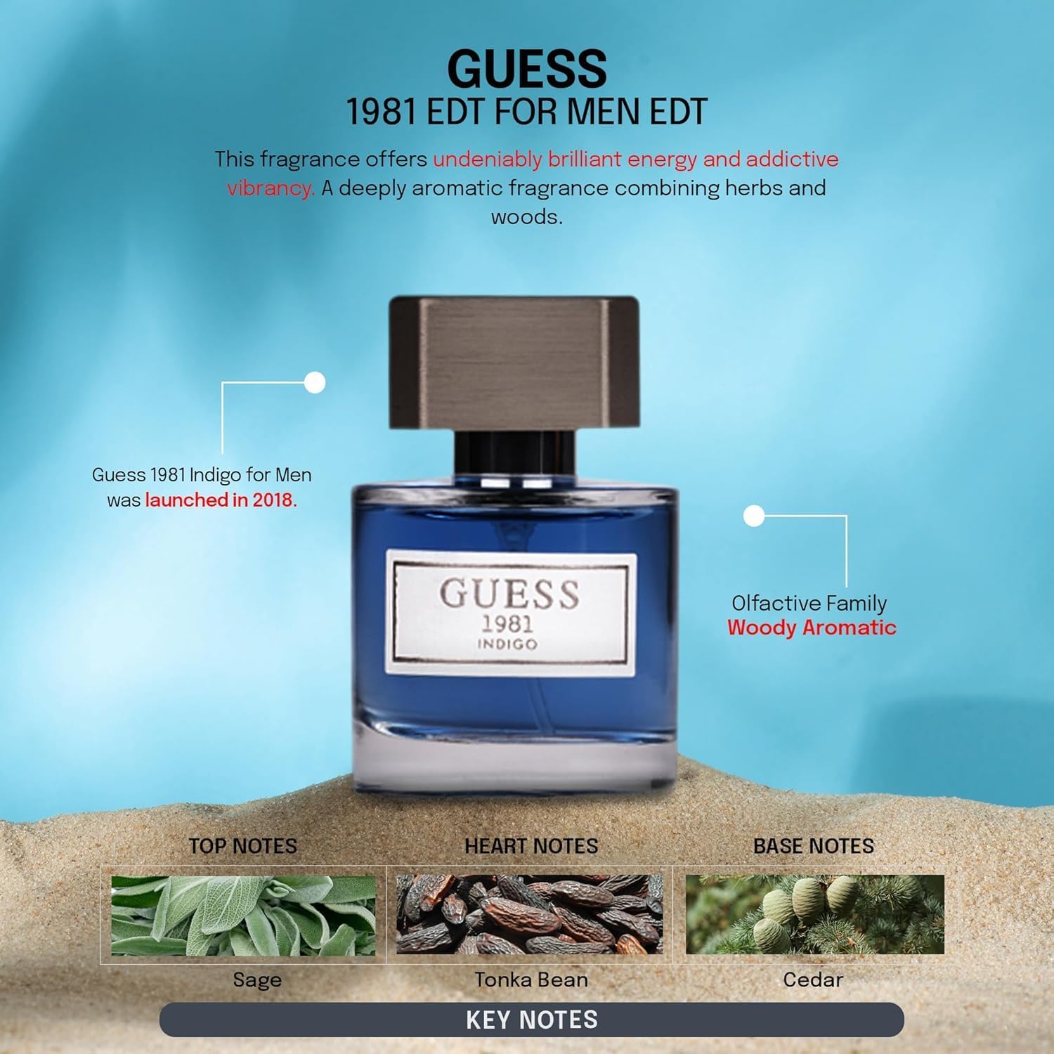 Guess 1981 Indigo for Men EDT Spray 100ml