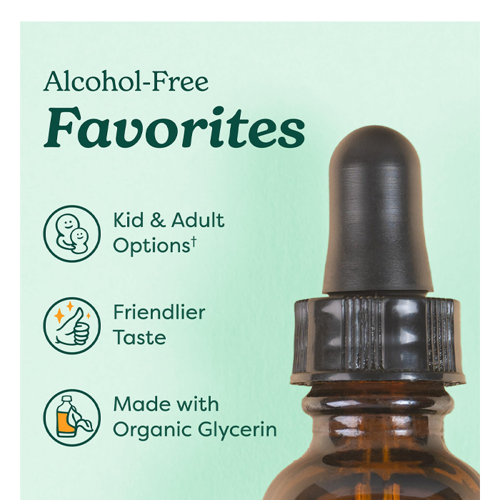 Herb Pharm Echinacea Glycerite