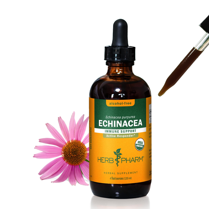 Herb Pharm Echinacea Glycerite