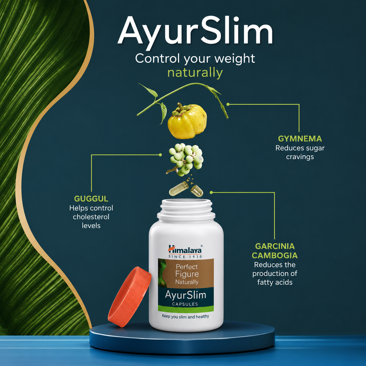 Himalaya Ayurslim 120 Capsules