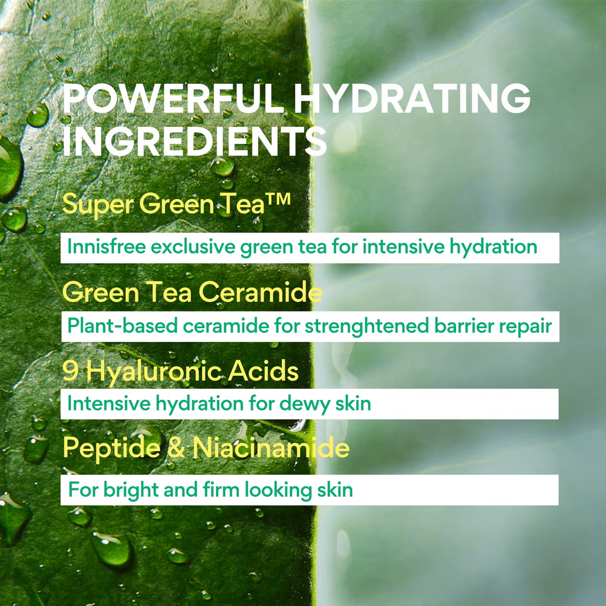 Innisfree Green Tea Ceramide Milk 160ML 993574