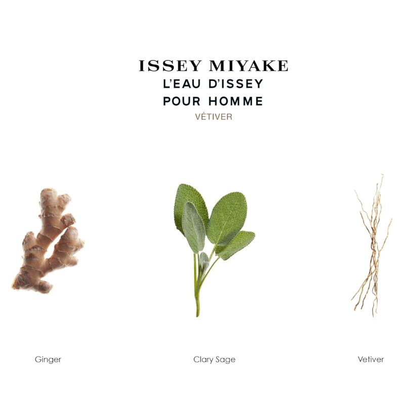 Issey Miyake L'eau D'Issey Vetiver Men EDT Spray 50ml