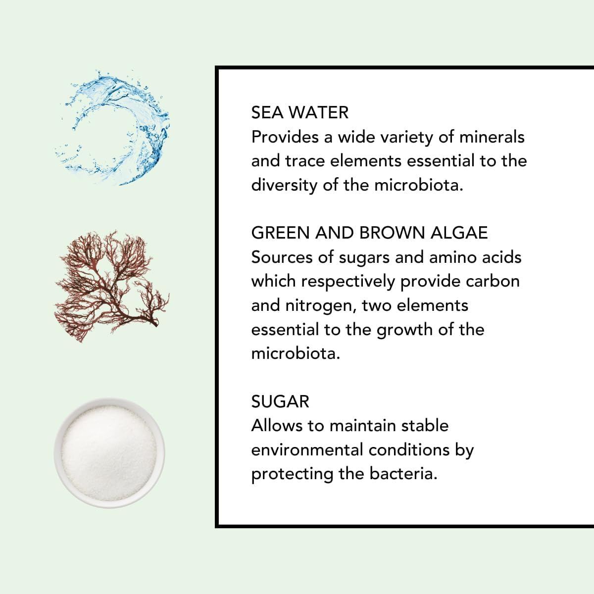 Lierac The Moisturizing Lotion 200ml