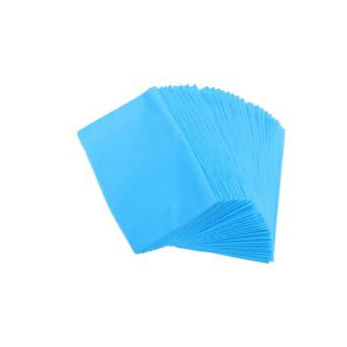 Disposable Bed Sheet Blue 10's
