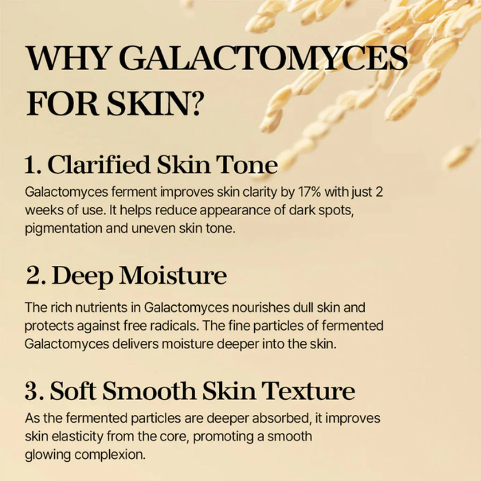 Mixsoon Galactomyces Ferment, Brightening, Hydrating, and Skin Tone-Correcting Essence, 100ml