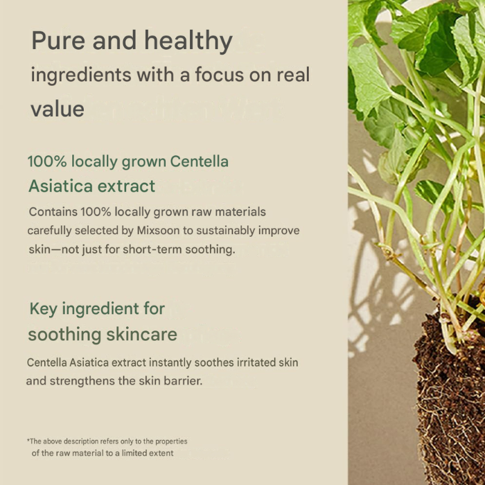 Mixsoon Soondy Centella Asiatica Soothing, Hydrating, and Barrier Strengthening Essence, 100ml