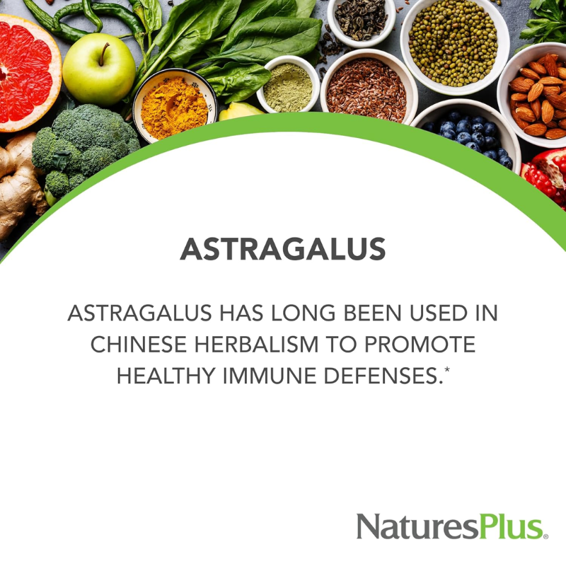 Natures Plus Herbal Actives Astragalus 60's Vegetarian Capsules