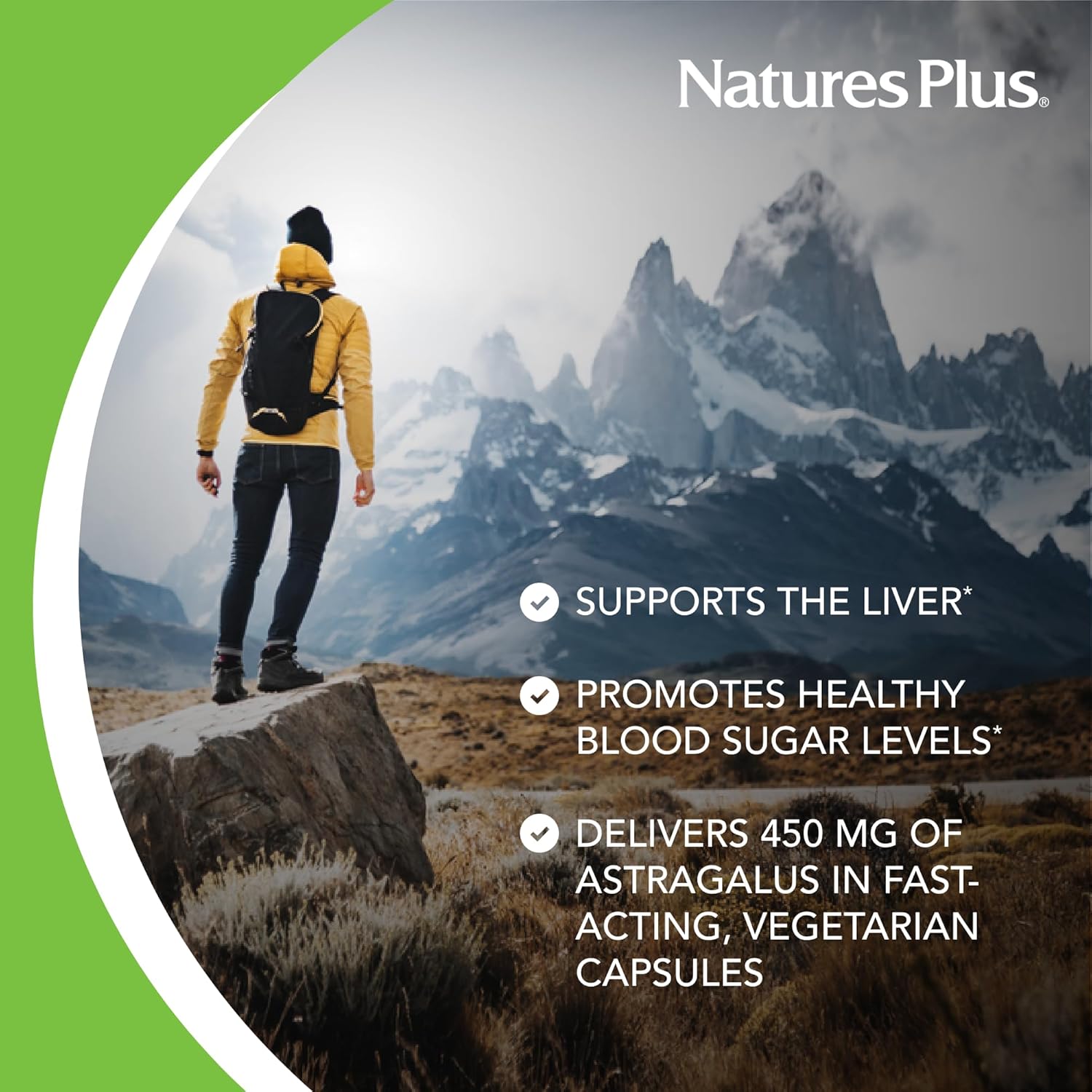 Natures Plus Herbal Actives Astragalus 60's Vegetarian Capsules