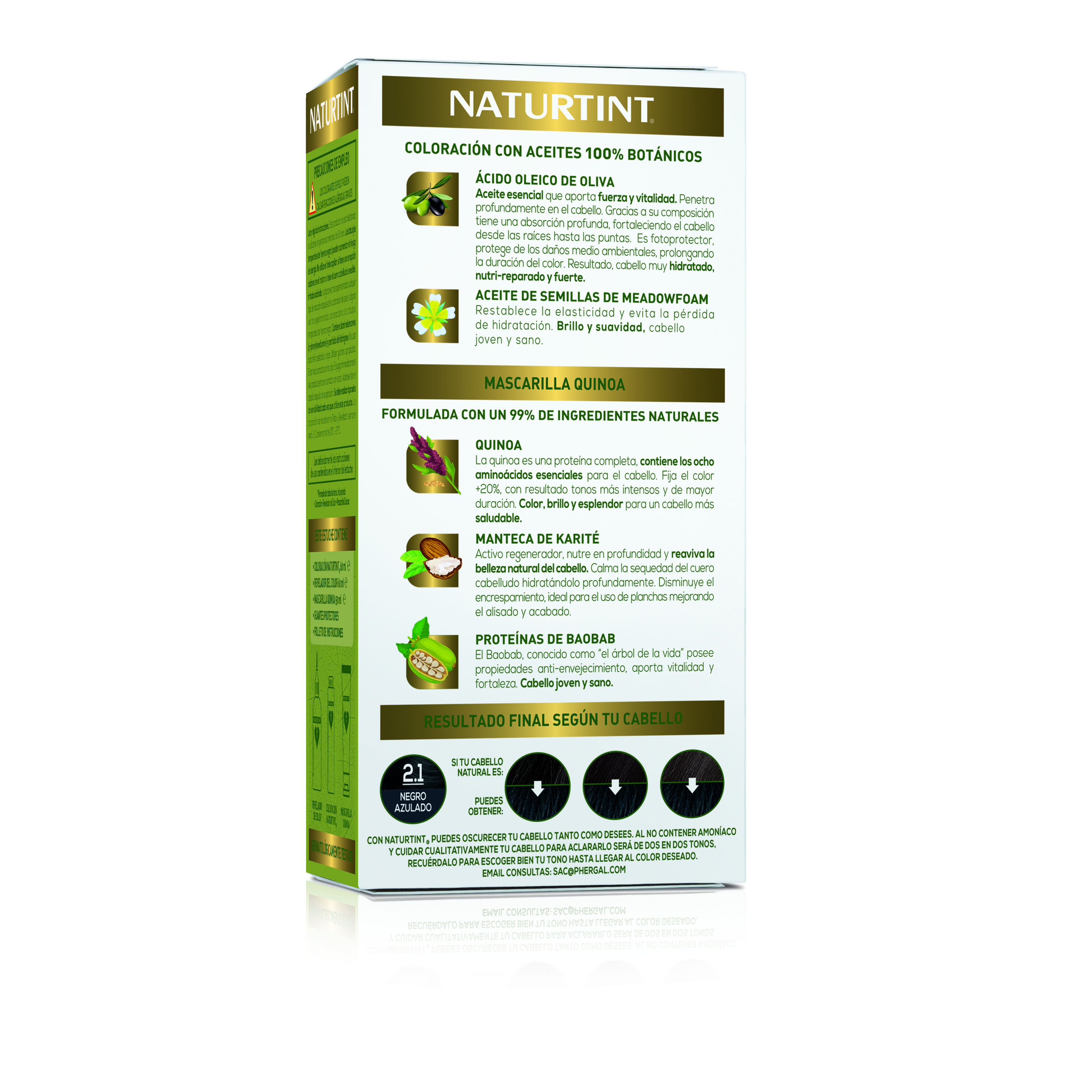 Naturtint 2.1 Blue Black, Ammonia-Free Permanent Hair Color with Quinoa Mask, 165ml