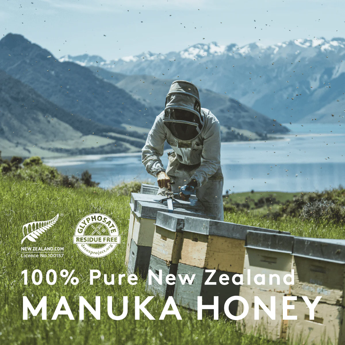 NZ Health UMF 7+ Manuka Honey, Natural Antibacterial Support & No Additives – 250g