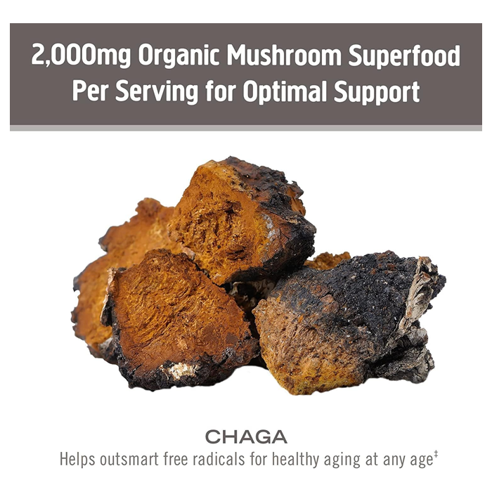 فطر سوبر فود من Om Chaga - عدد 90 كبسولة نباتية