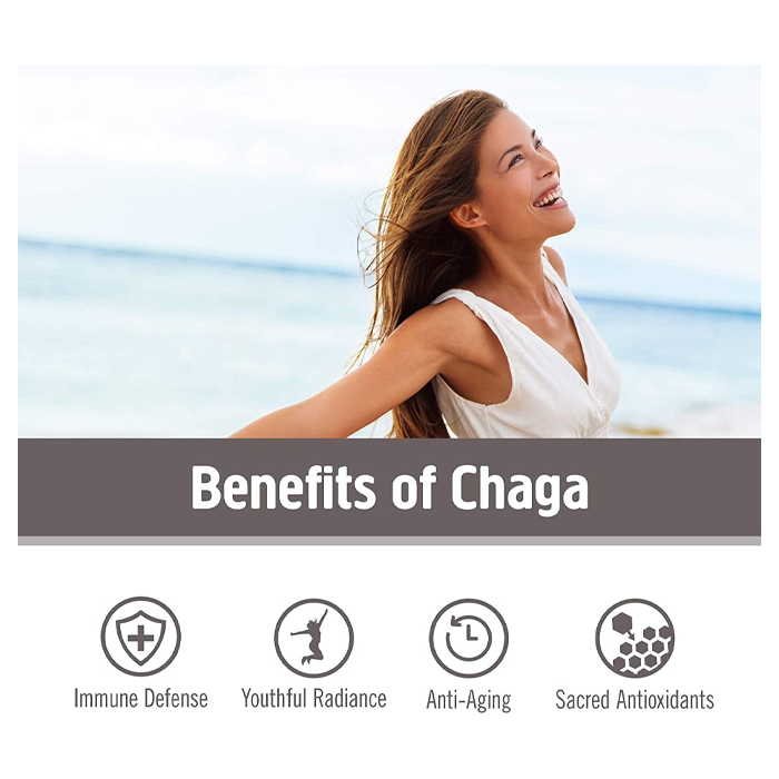 مسحوق فطر عضوي من Om Chaga- وزن 100 جم