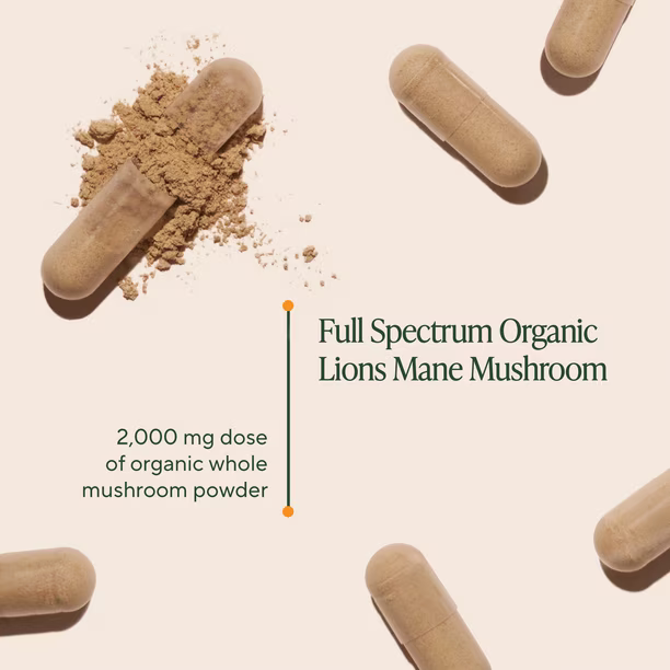 فطر سوبر فود  من Om Lion'S Mane - عدد 90 كبسولة نباتية