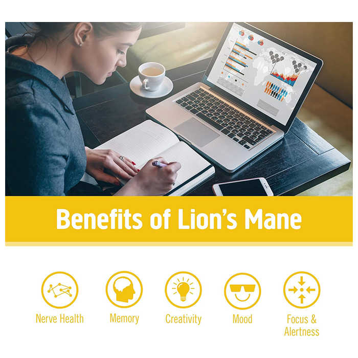 مسحوق الفطر العضوي من Om Lions Mane- وزن 100 جرام