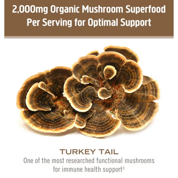 Om Turkey Tail Mushroom Superfood 90 Vegetable Capsules