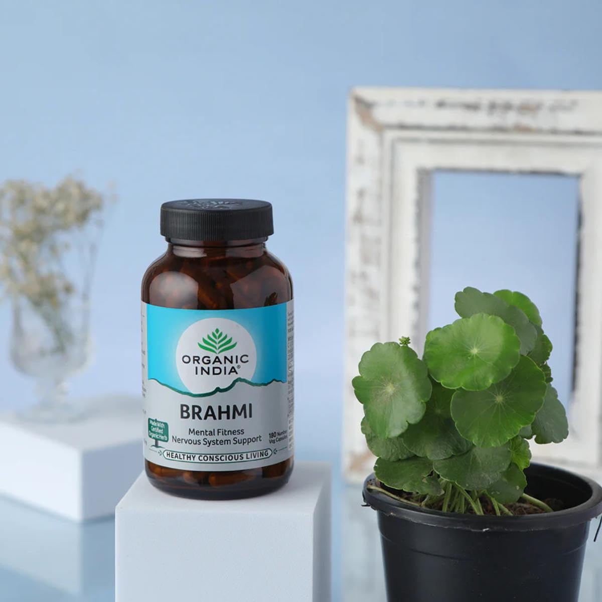 Organic India Brahmi Brain & Nervous System Support Capsule 90's