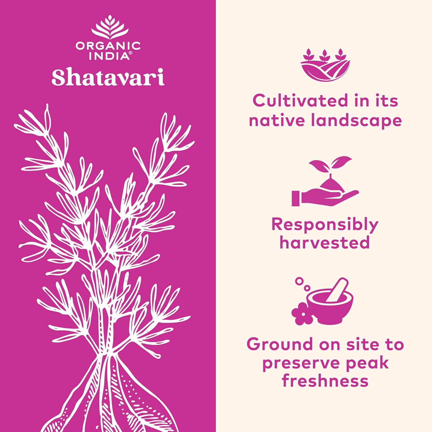 Organic India Shatavari Hormonal Balance Capsule 90's