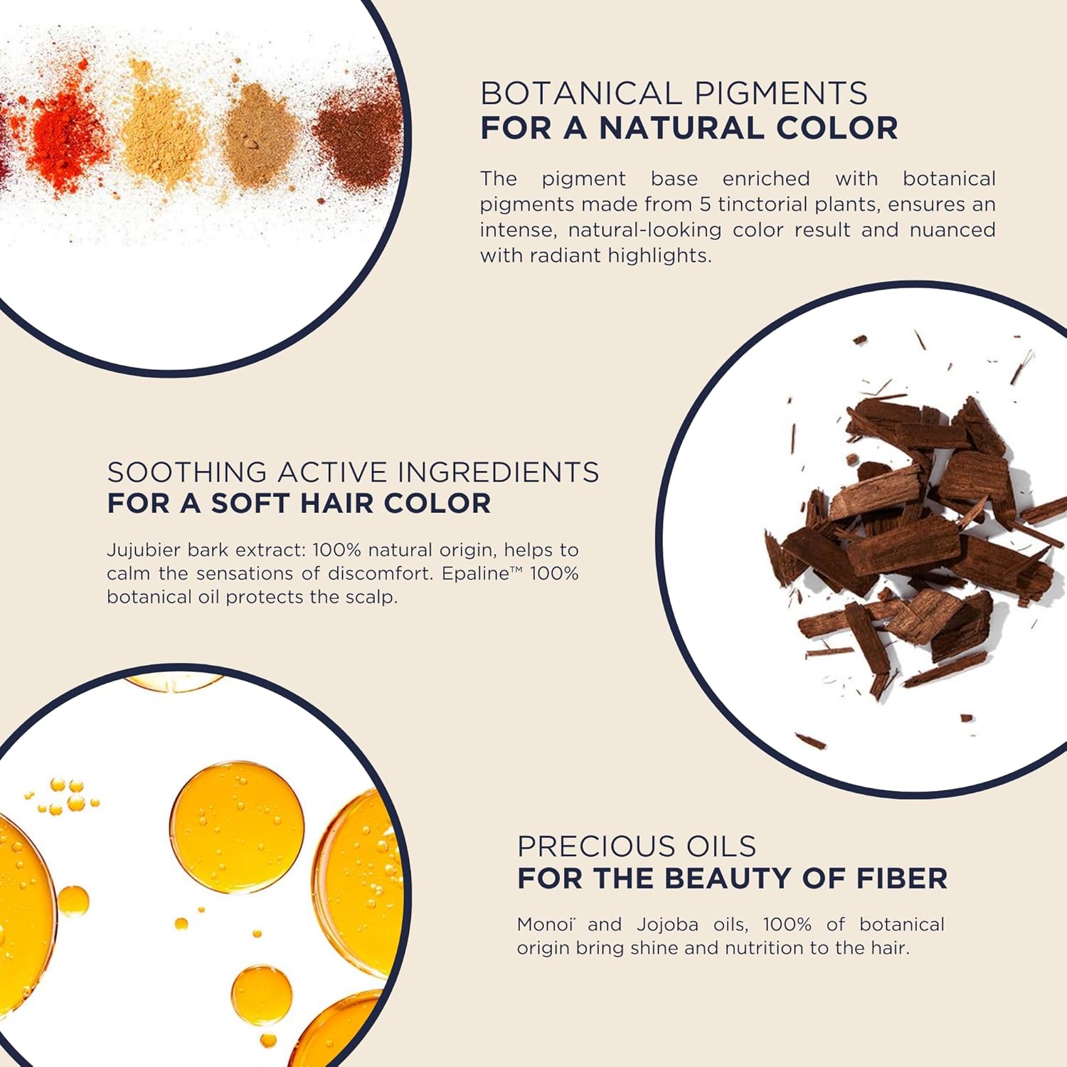Phyto Color 4.77 Intense Chestnut Brown Permanent Coloring