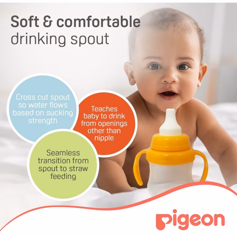 Pigeon Mag Mag Spout Cup 