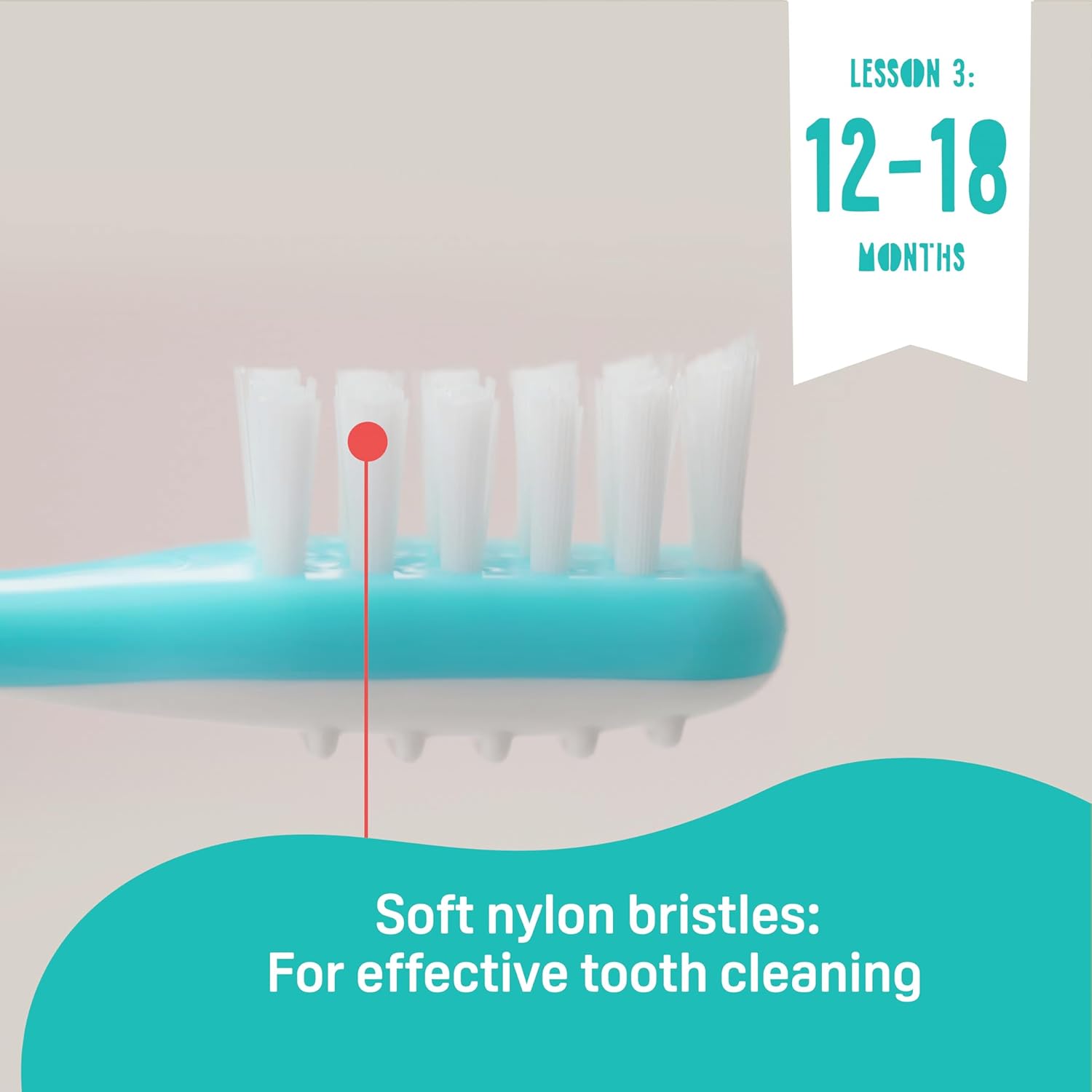 Pigeon Trainer Tooth Brush Set 