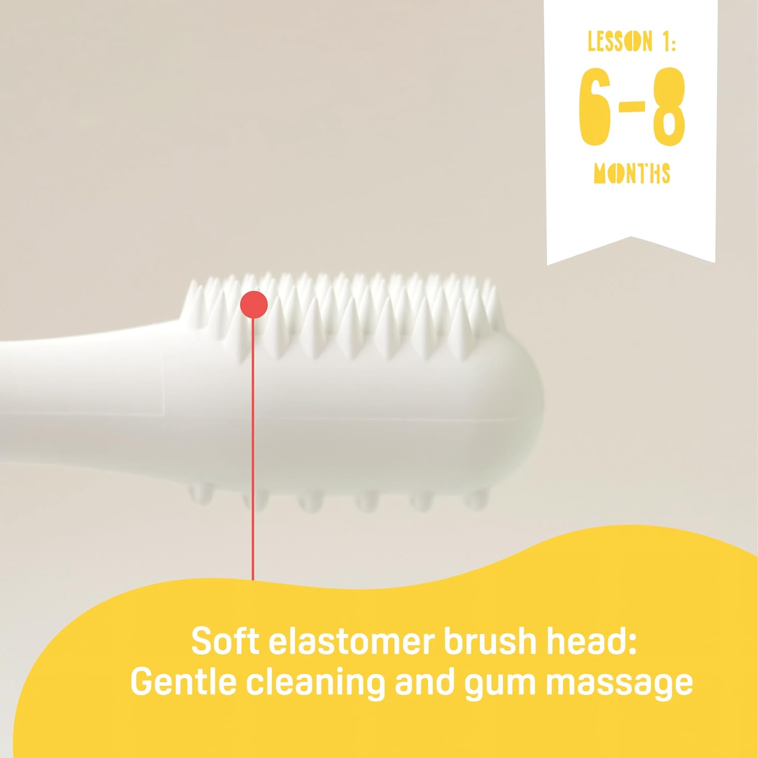 Pigeon Trainer Tooth Brush Set 