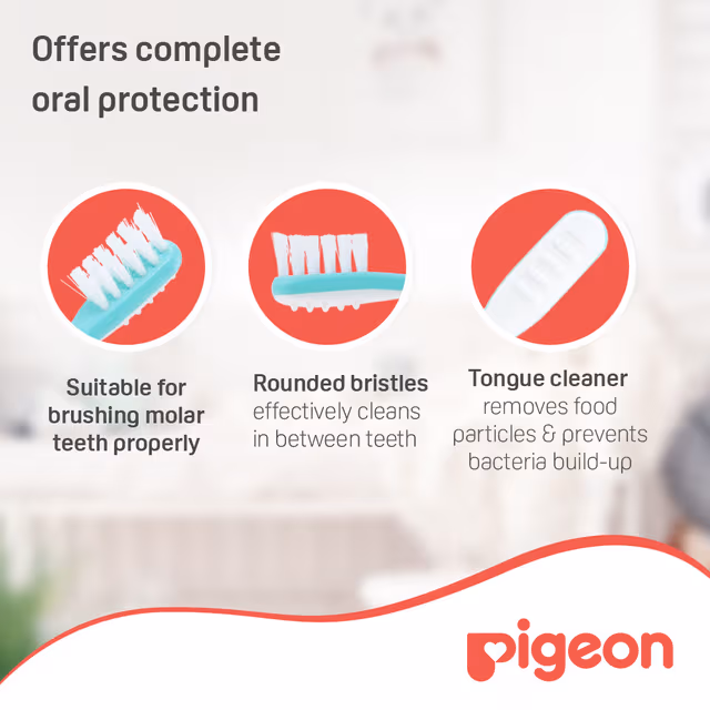 Pigeon Training Toothbrush Lesson 3 Green