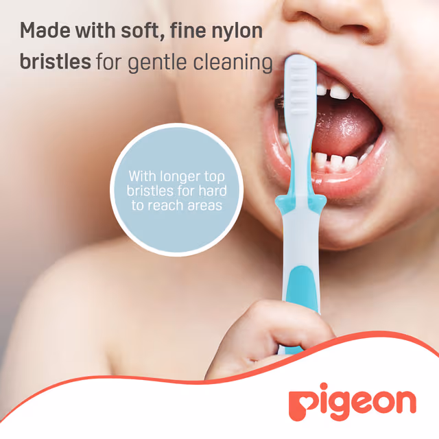Pigeon Training Toothbrush Lesson 3 Green